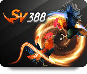 Top những khuyến mãi casino đáng chú ý trong năm nay